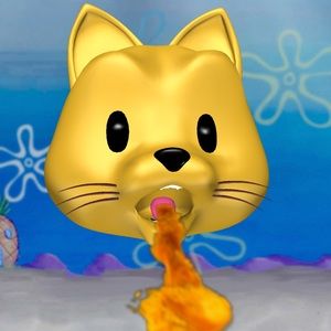 Meet your Posher, Jadyn